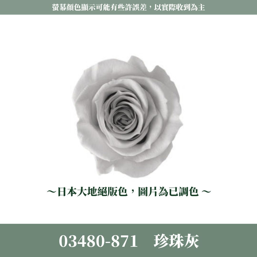 03480 中玫瑰