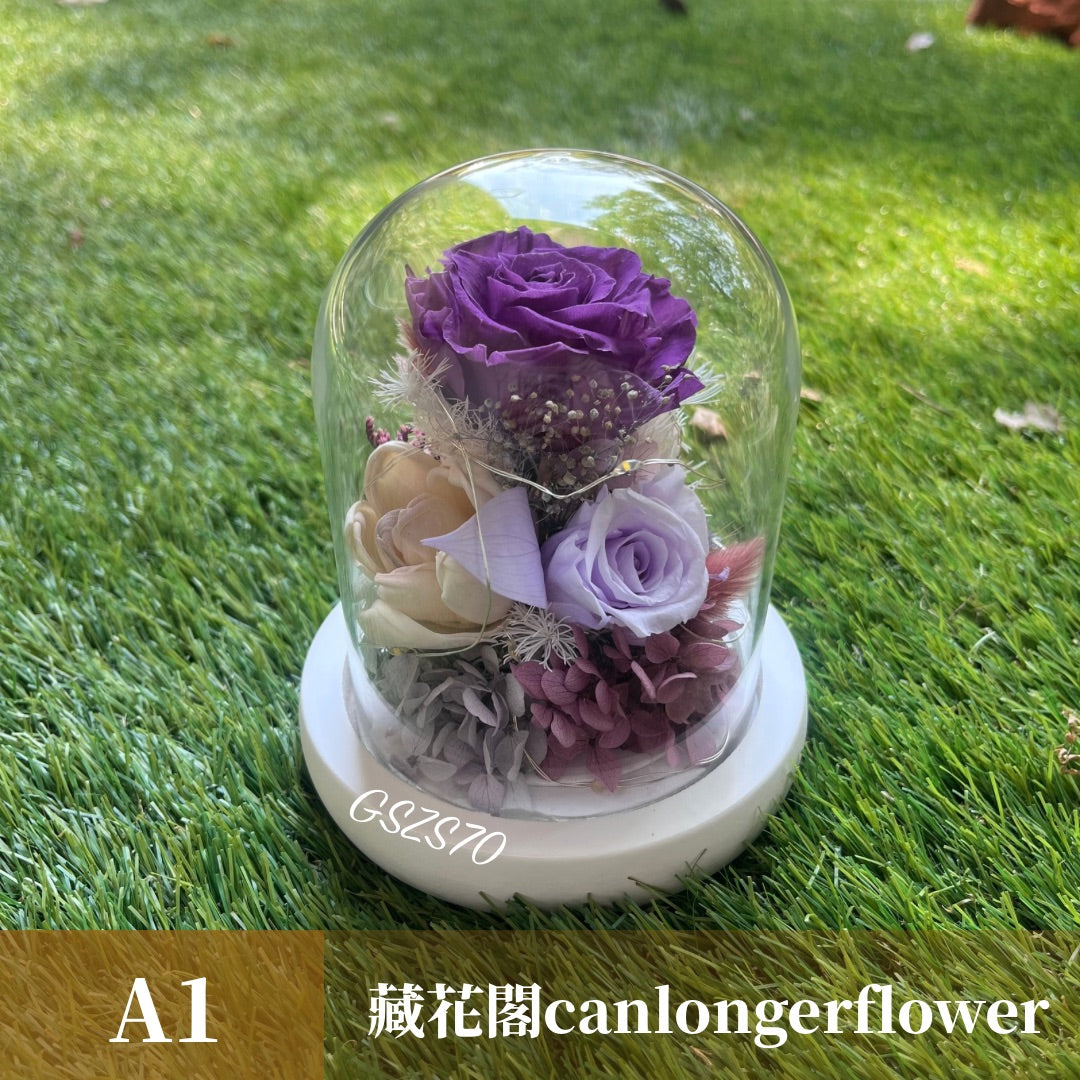 GSZS70 紫色系永生罩盅S