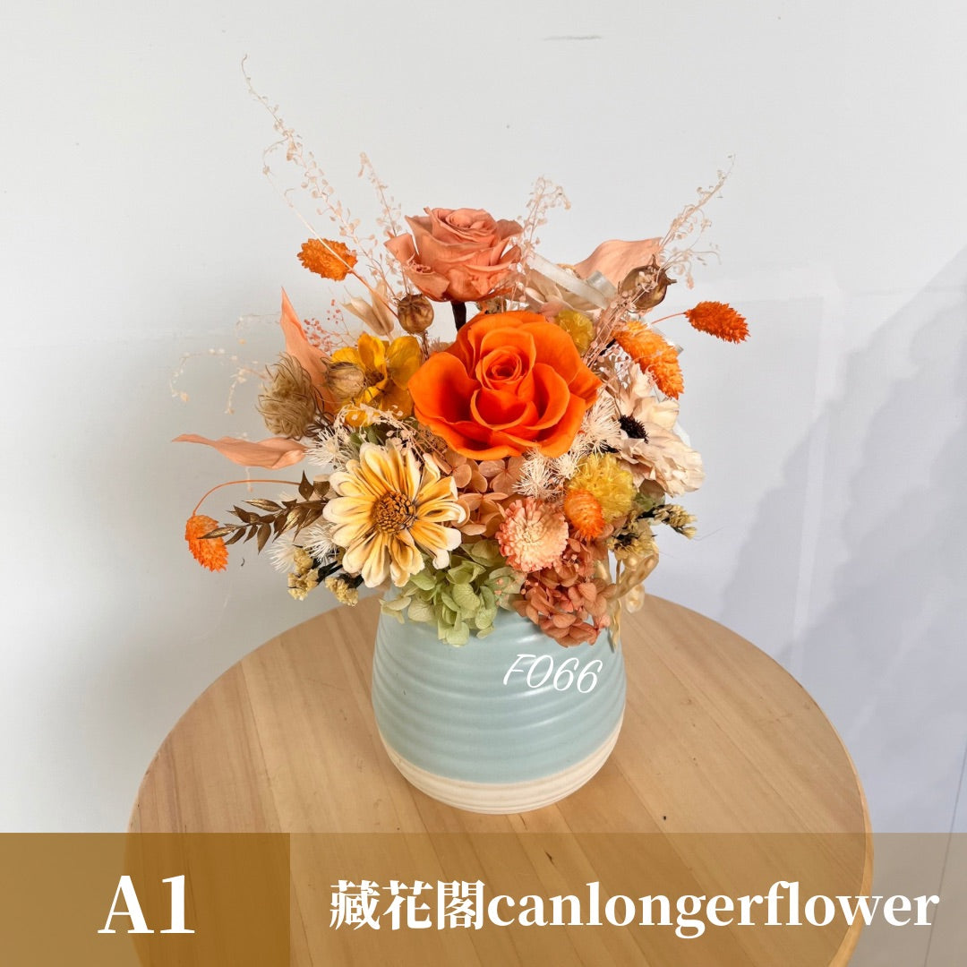 Gift-F066 橘色系永生盆花 橘色 橙色 盆花 開幕 送禮 慶賀