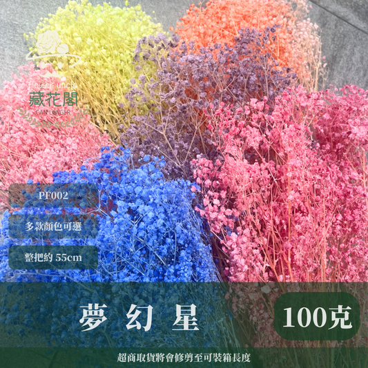 ✿ 台灣現貨 ✿ PF002 夢幻星