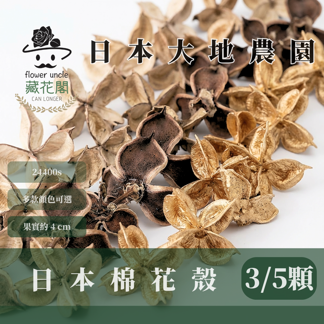 24400s 日本棉花殼經濟包(3/5個) ｜日本大地 乾燥花材 花圈材料 24400-902 24400-000