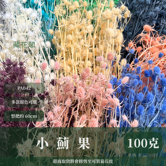 ✿ 台灣現貨 ✿ PA042 小薊果 紫薊花 刺芹花 小薊花