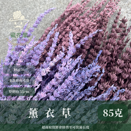 PA056 原裝薰衣草｜長梗永生薰衣草 染色薰衣草 有香味 香草植物 乾燥花 永生花 乾燥花花束 拍照道具背景 店內裝飾