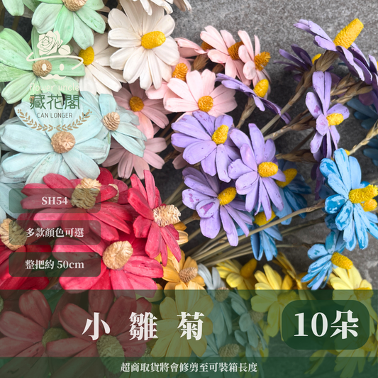 完售 SH54 小雛菊花頭 原裝 十支裝 台灣現貨