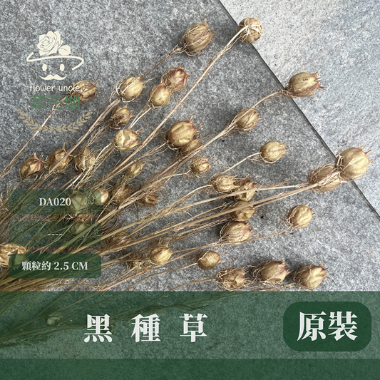DA020 黑種草 約18克 乾燥 原裝 台灣現貨