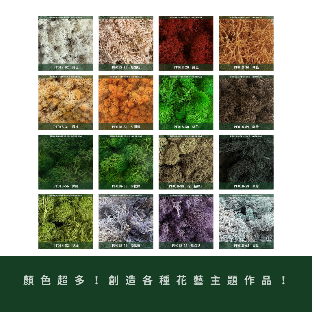 PF018-XS 永生馴鹿苔補充包｜特級永生水草 微景觀水苔 苔蘚造景 乾燥花 不凋花 永生花藝材料 撲底用草 假草皮