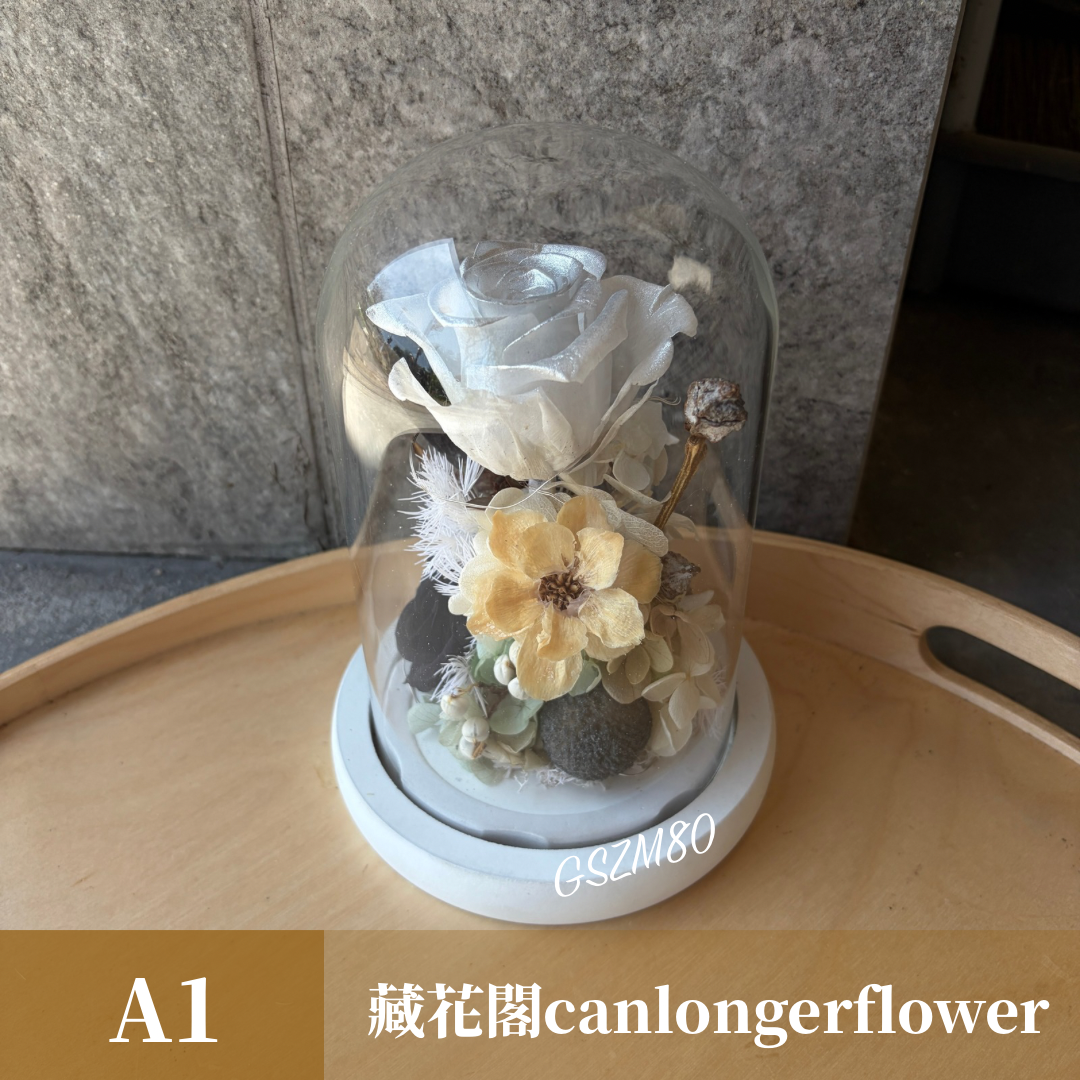 GSZM90 莫蘭迪色系永生罩盅M