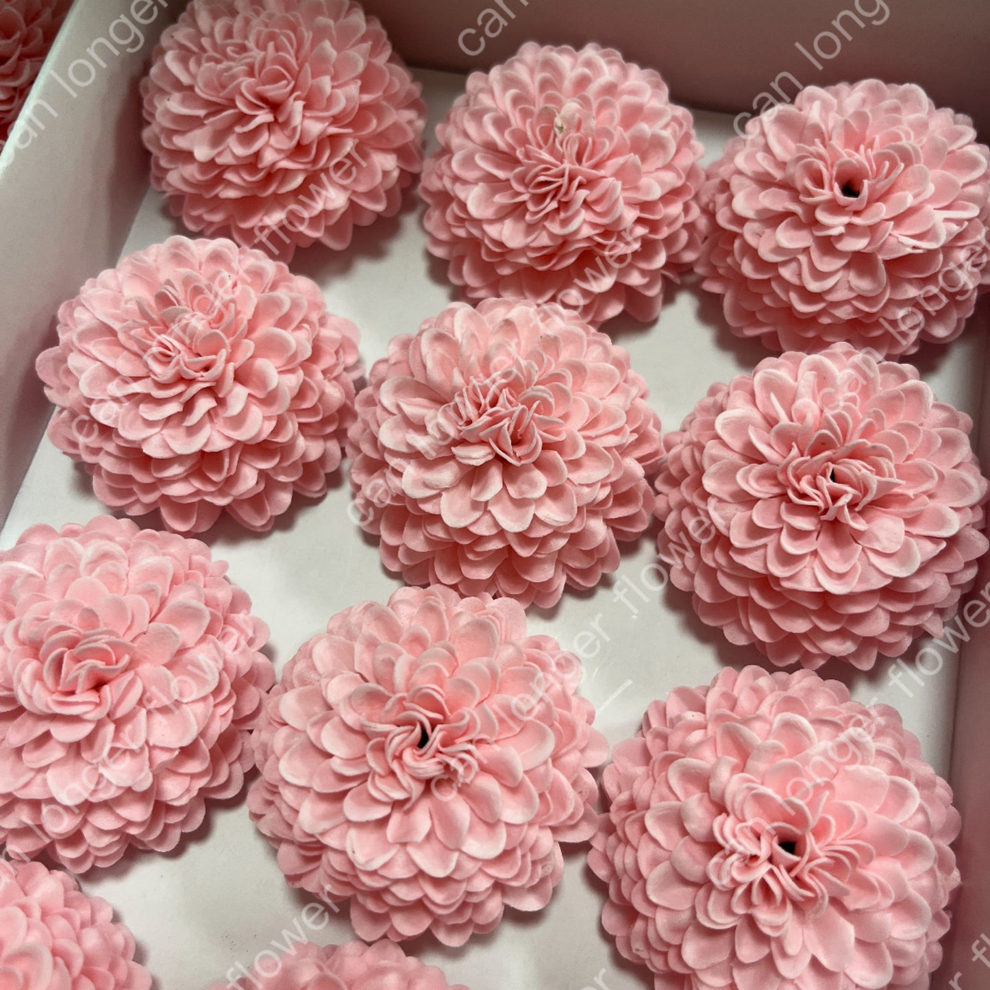 AS006 乒乓菊單朵 香皂花