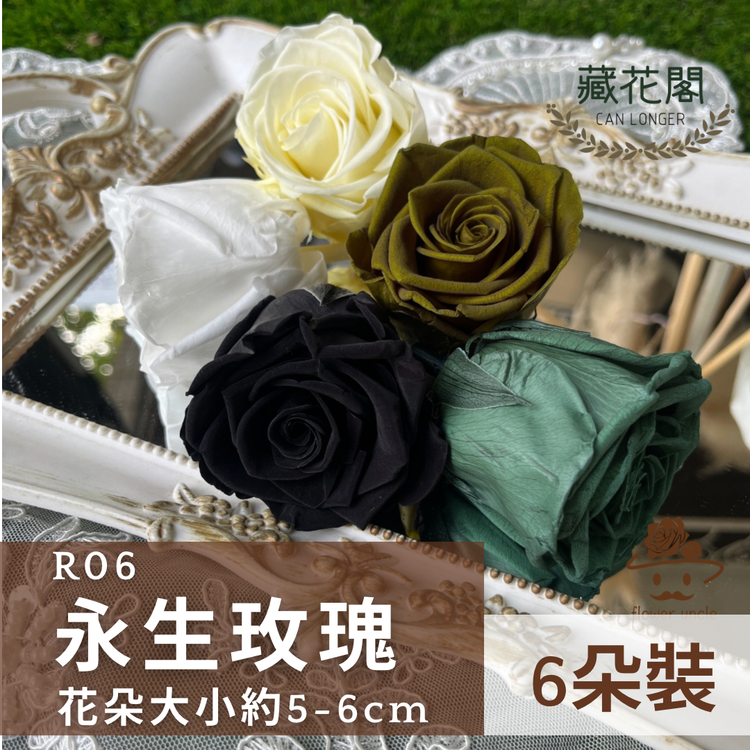 *** R06 永生玫瑰 5~6cm玫瑰 Ａ級 6朵裝 不凋花 小香風玫瑰 色彩款式齊全 莫蘭迪