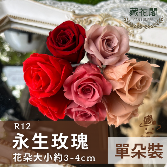R12 十二輪玫瑰