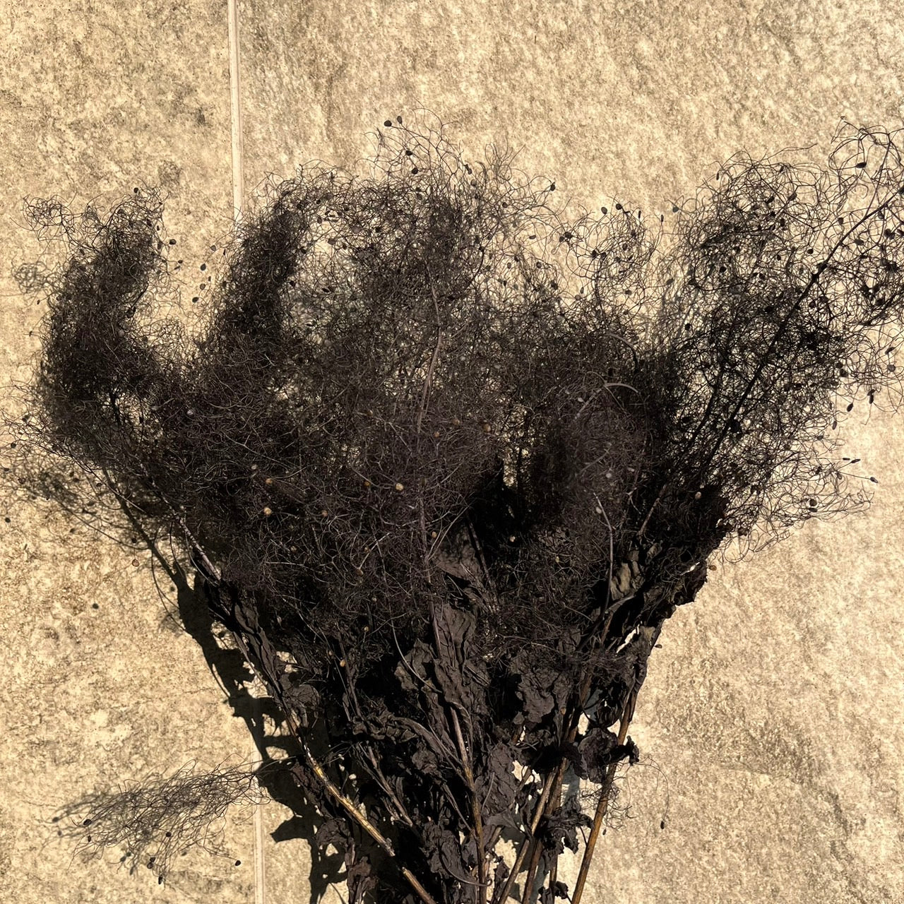 【台灣現貨】PA058S黃櫨 煙霧樹 夢幻草 黃櫨花 煙樹 霧花 霧中情人 永生 小份 拍攝道具 居家裝飾 室內擺設