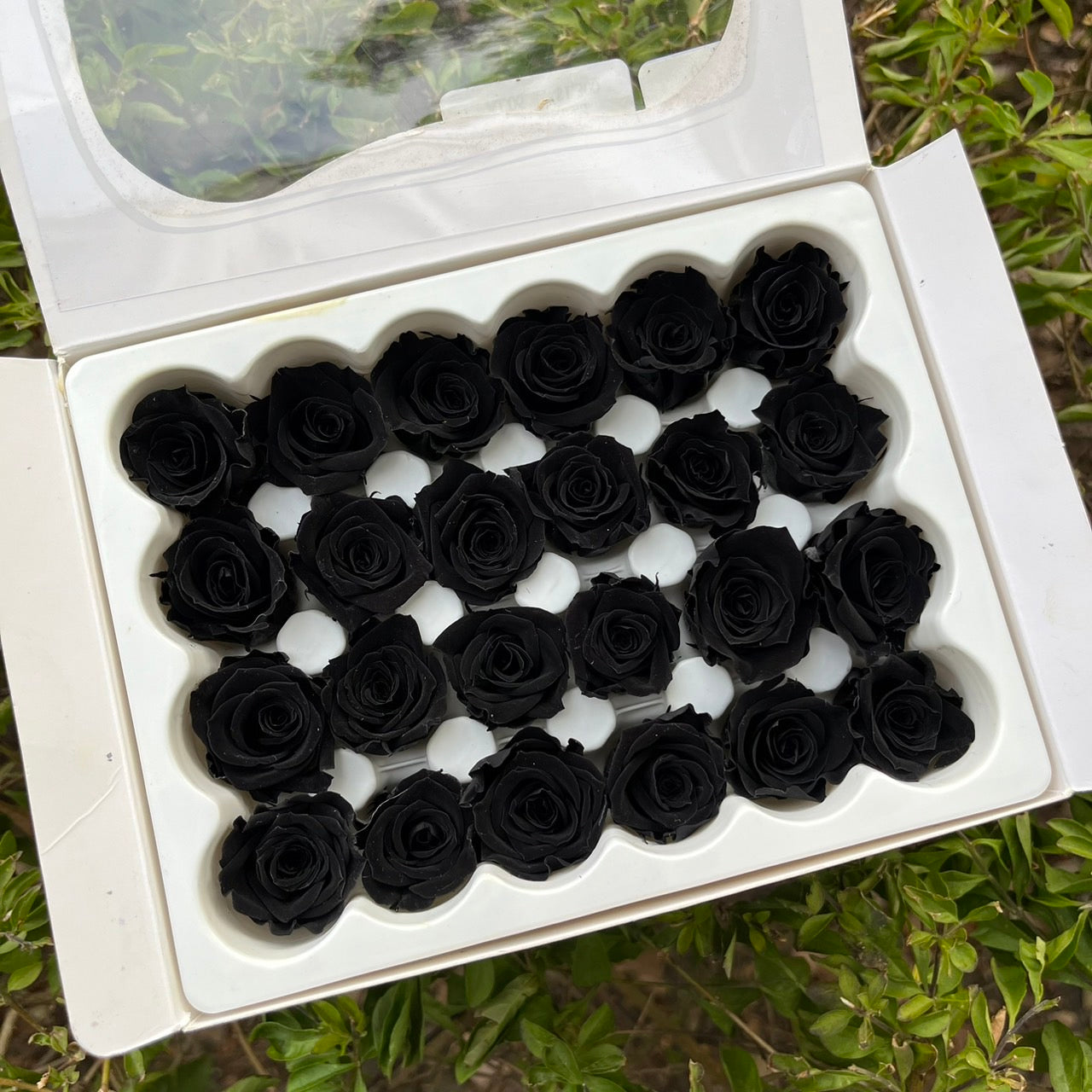 ***花大伯 R24 永生玫瑰 1.5~2cm玫瑰 Ａ級 24朵裝 不凋花 小香風玫瑰 色彩款式齊全 莫蘭迪