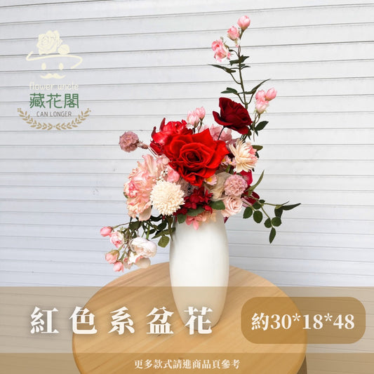 Gift-F072 紅色系陶瓷盆花 紅色 盆花 開幕 送禮 慶賀 擺飾 裝飾品