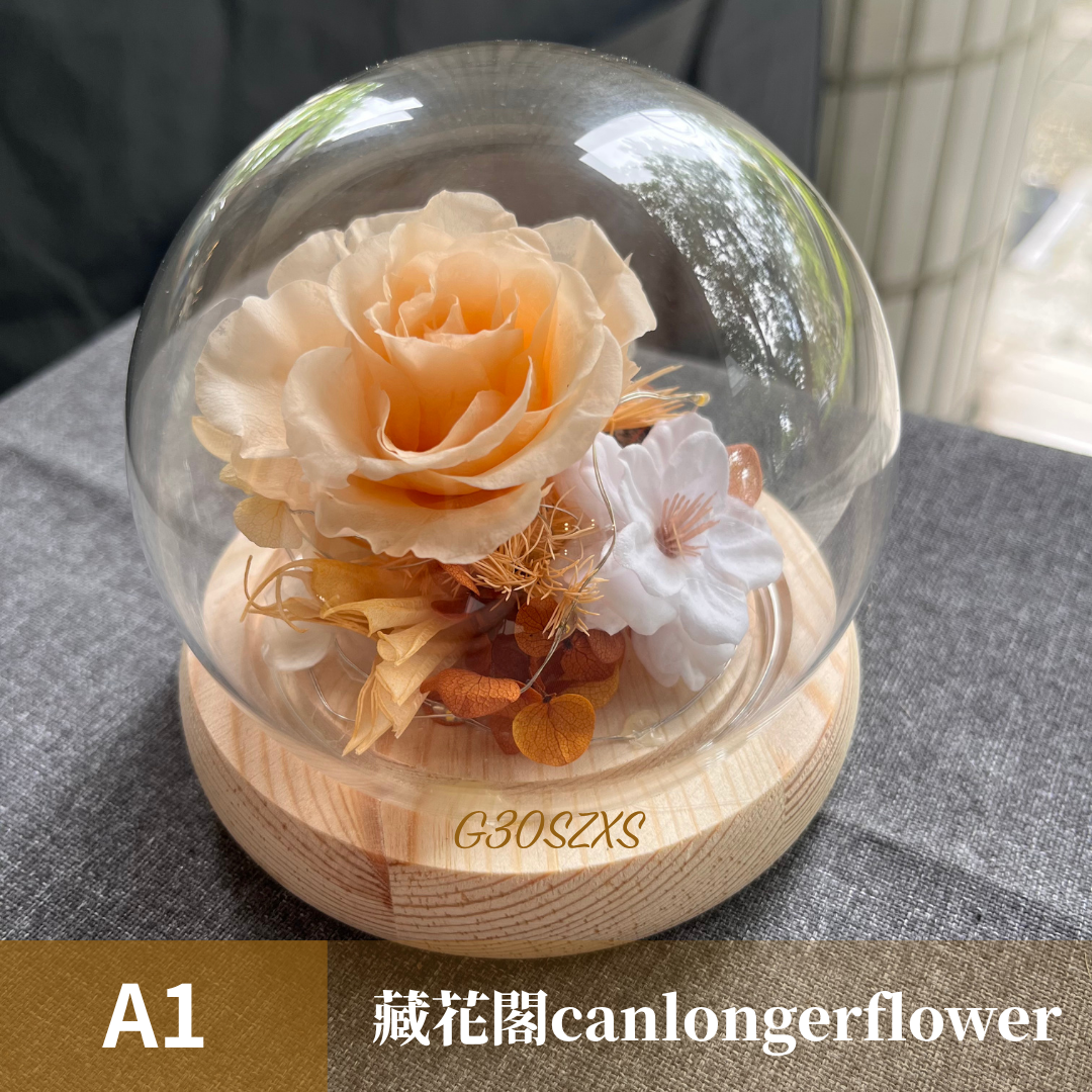 GSZXS30 橘色系永生玫瑰罩盅XS(帶燈)