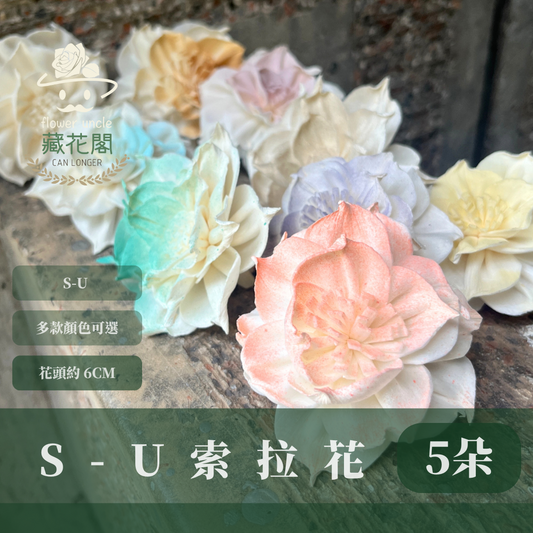 ✿ 台灣現貨 ✿ S-U 索拉花 6CM 通草花 擴香花