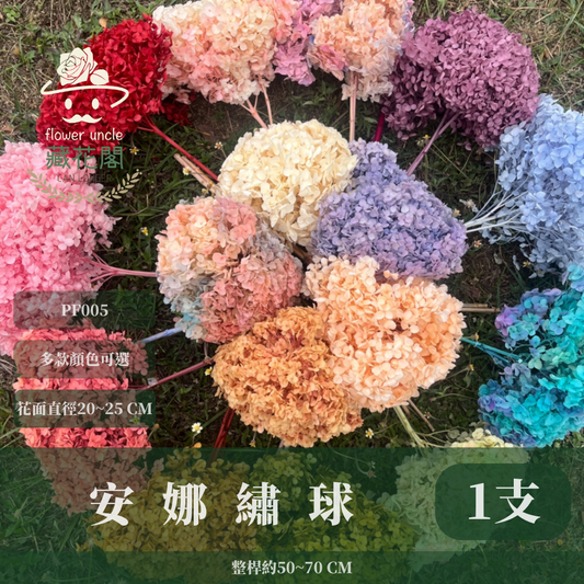 PF005 安娜繡球 單支 繡球花 台灣現貨 繡球 紫陽花