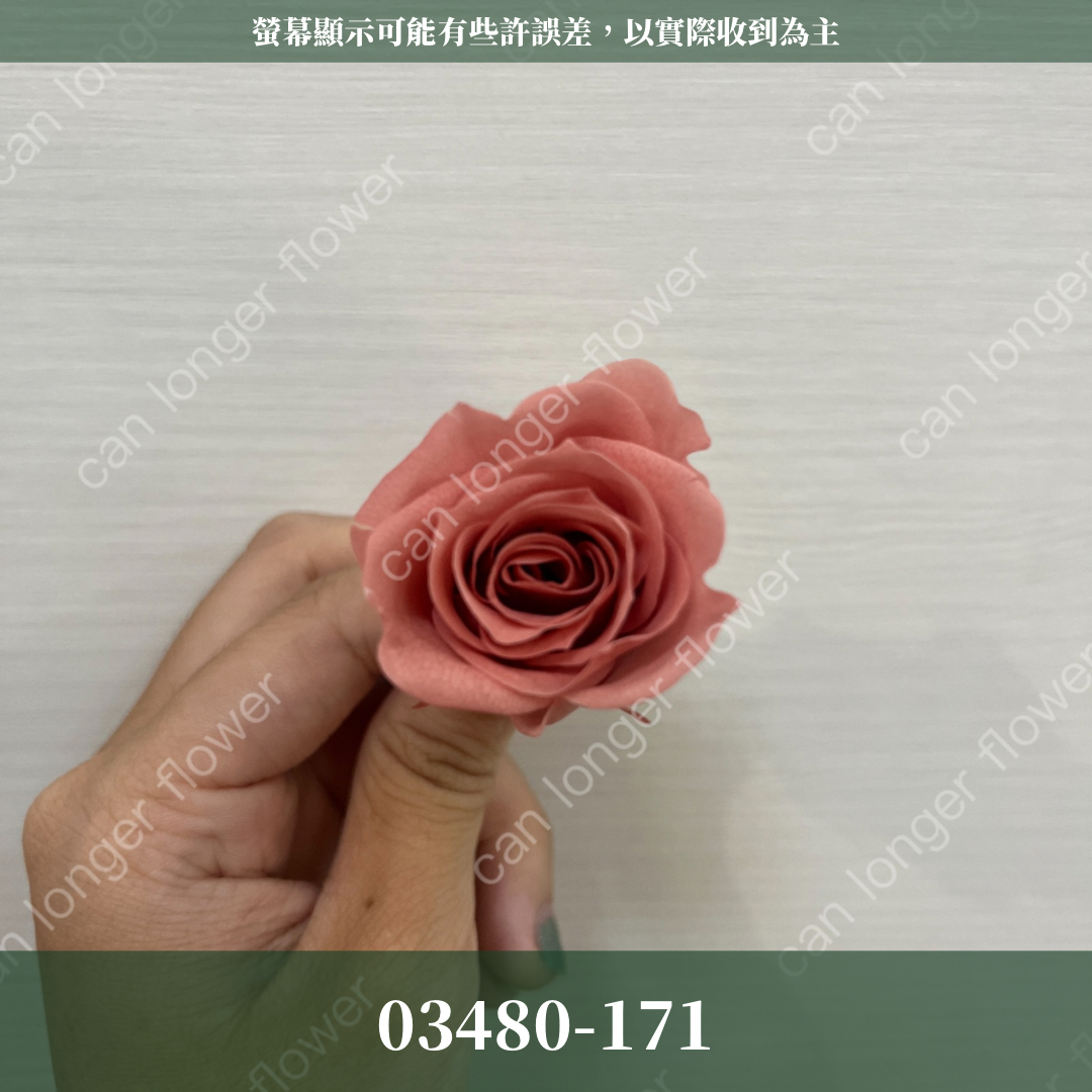 【台灣現貨】花大伯 03480 日本大地農園 中玫瑰 9朵裝 原裝 款式色彩齊全 永生玫瑰 不凋玫瑰