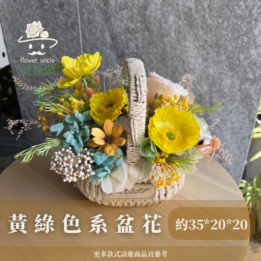 Gift-fb01 夏日色調黃綠色系提籃 黃色 綠色 盆花 夏日感 開幕 送禮 慶賀 花籃