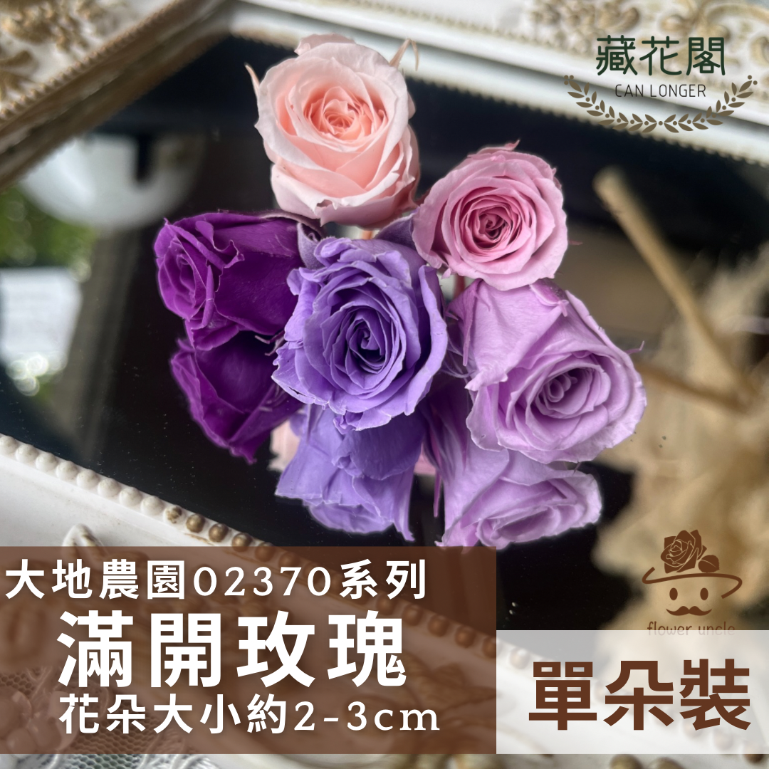 02370 日本迷你玫瑰