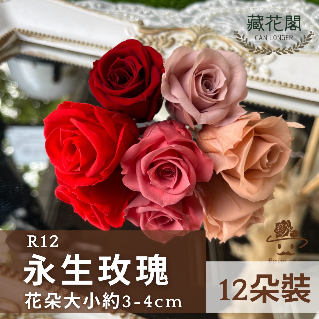 ✿ 台灣現貨 ✿R12 永生玫瑰 3~4cm玫瑰 Ａ級 12朵裝 永生花 不凋花