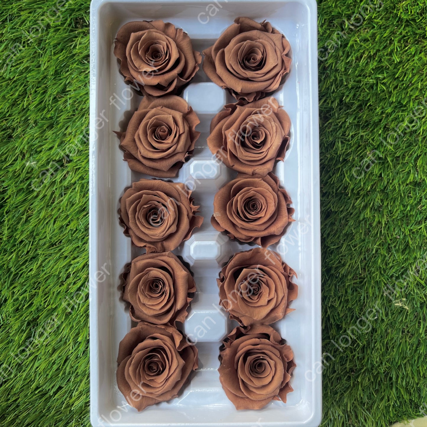 ✿ 台灣現貨 ✿ R10 永生玫瑰 3~4cm玫瑰 Ａ級 10朵裝 永生花 不凋花