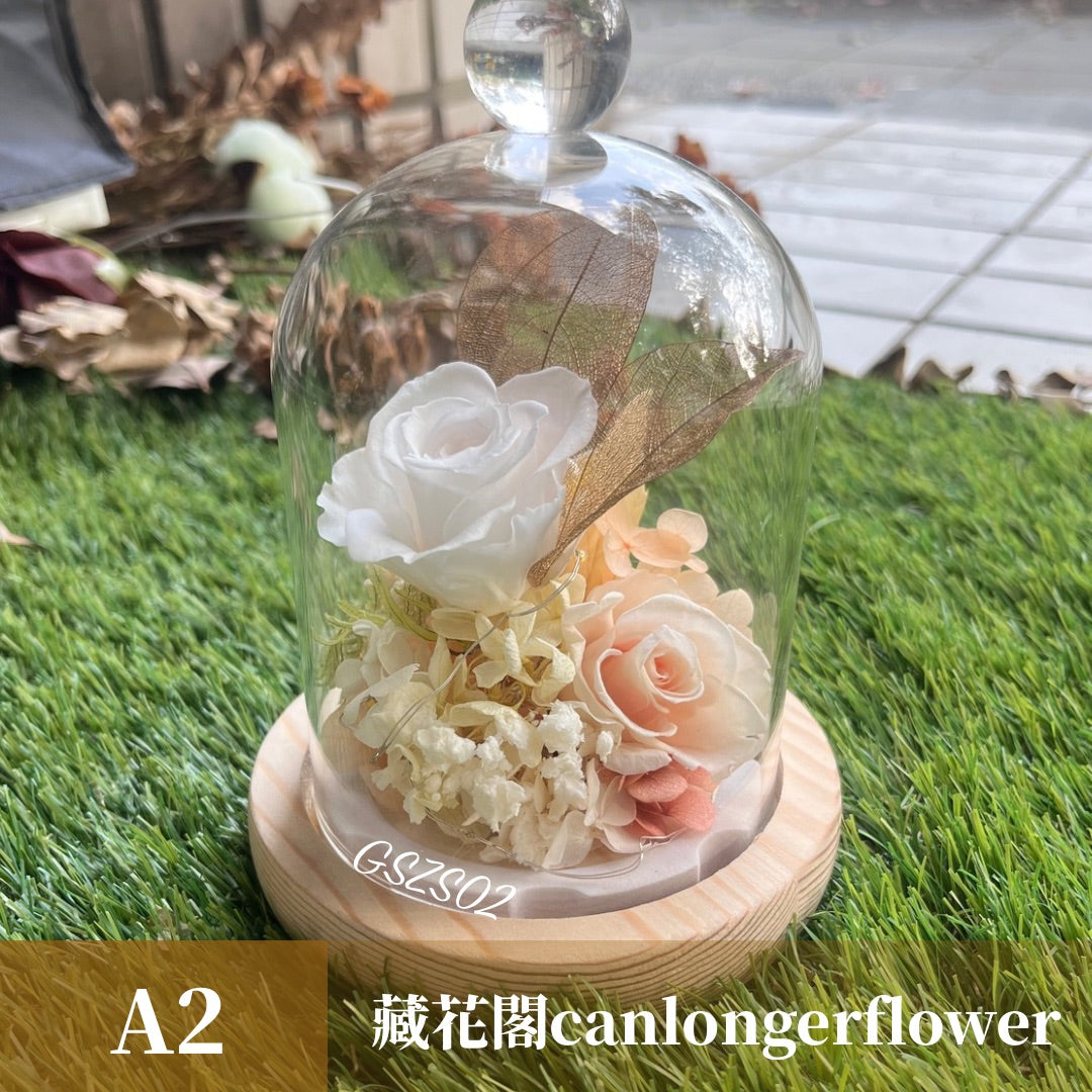 GSZS02 白色系永生罩盅S