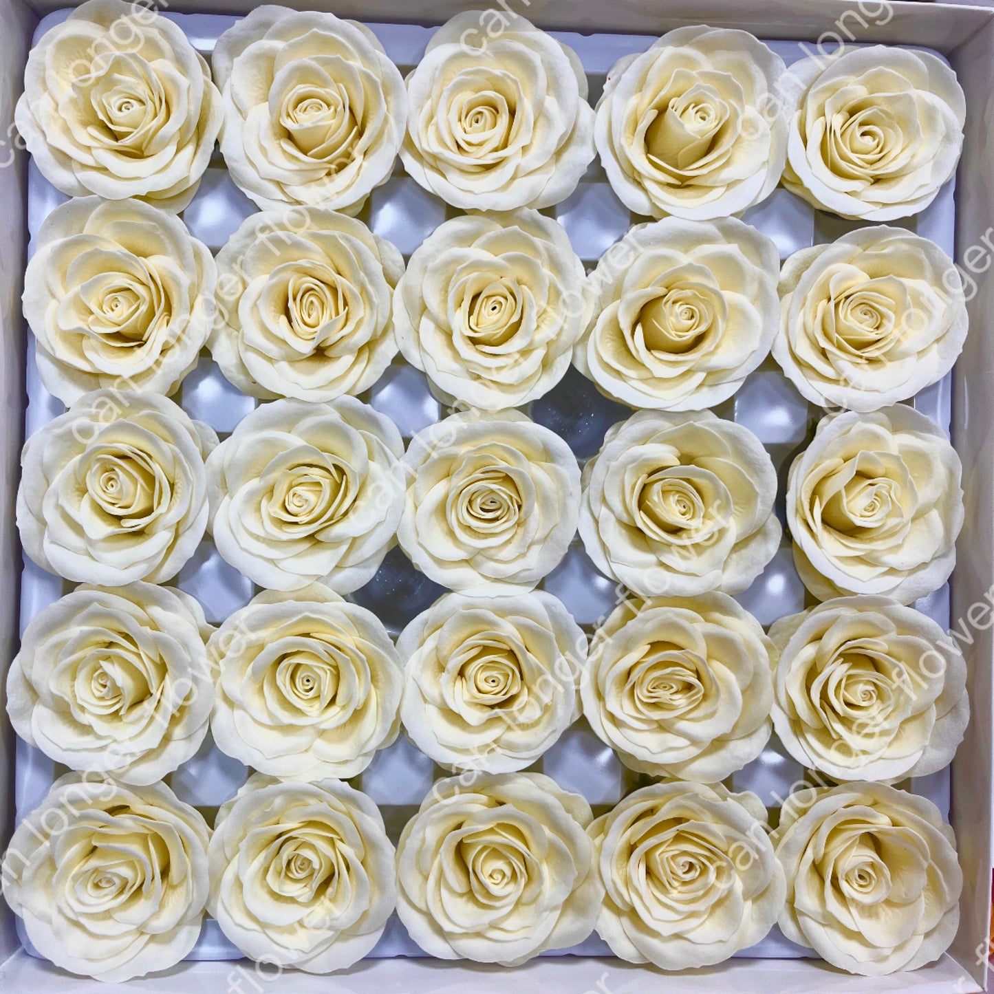 AS001 甦醒玫瑰 25朵裝 香皂花