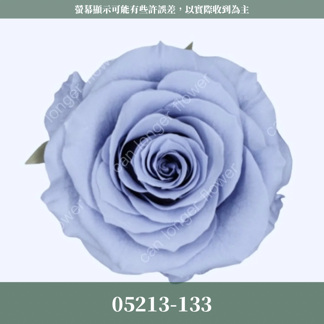 【台灣現貨】花大伯 05213 日本大地農園 滿開玫瑰 6朵裝 原裝 色彩齊全 永生玫瑰 不凋玫瑰