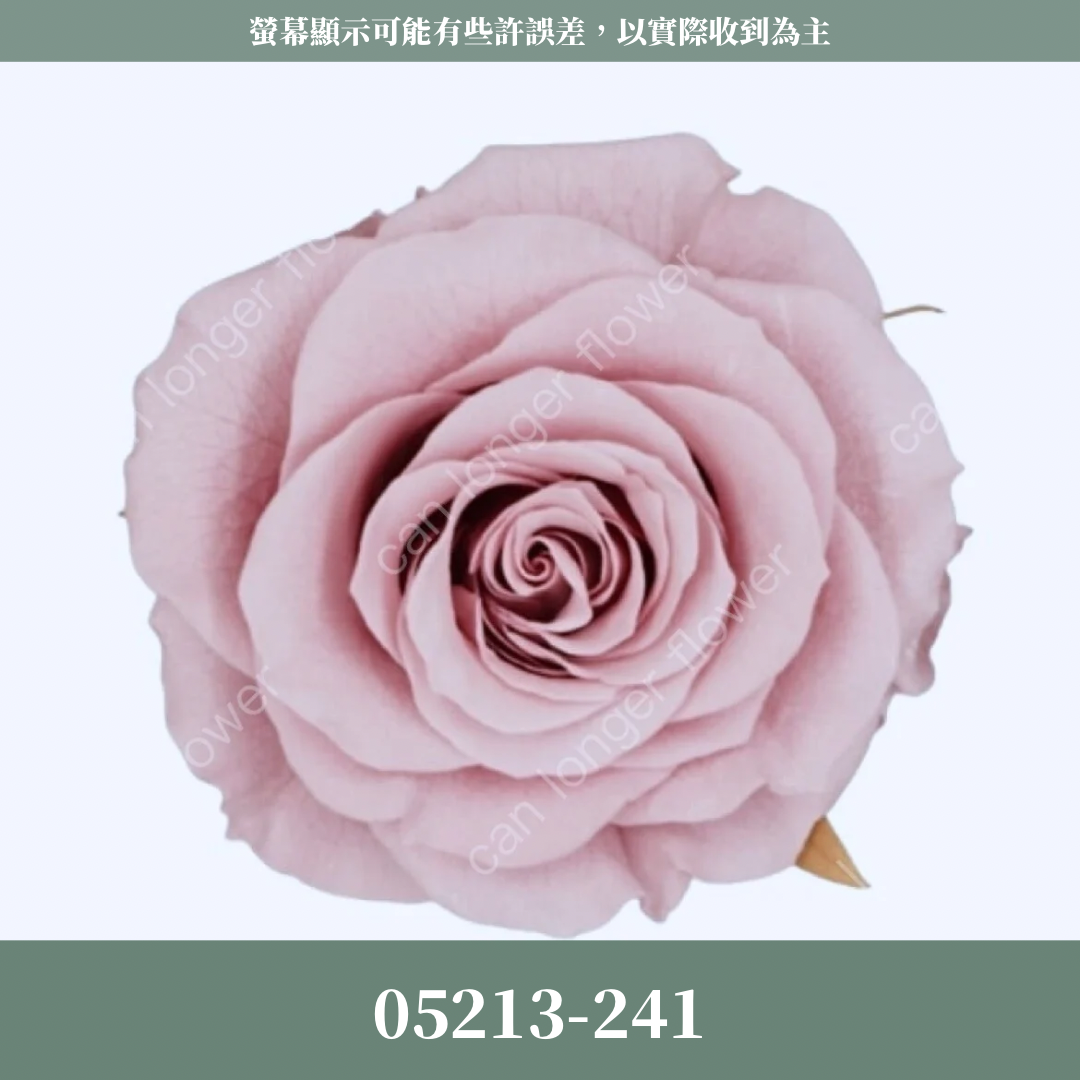 【台灣現貨】花大伯 05213 日本大地農園 滿開玫瑰 6朵裝 原裝 色彩齊全 永生玫瑰 不凋玫瑰