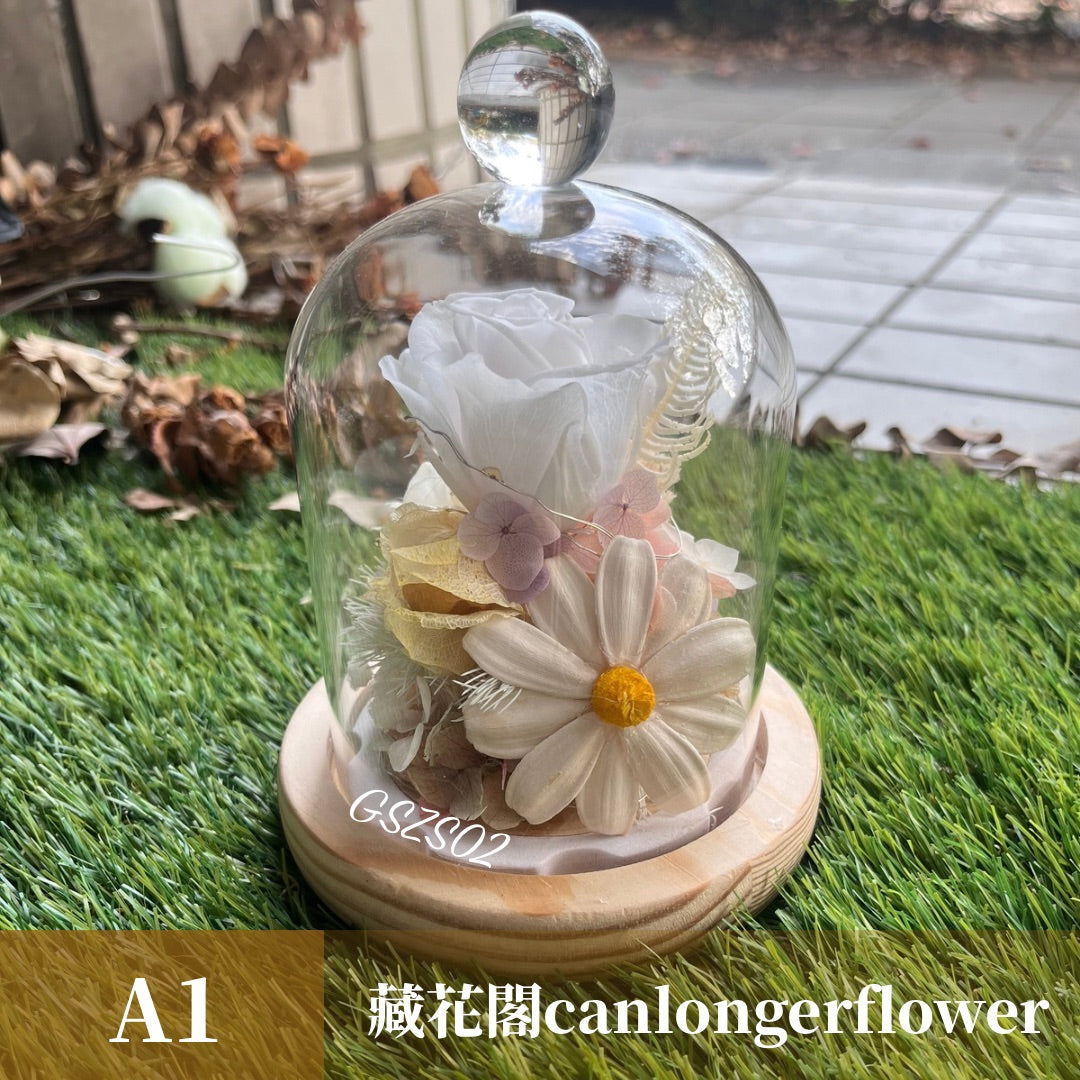 GSZS02 白色系永生罩盅S