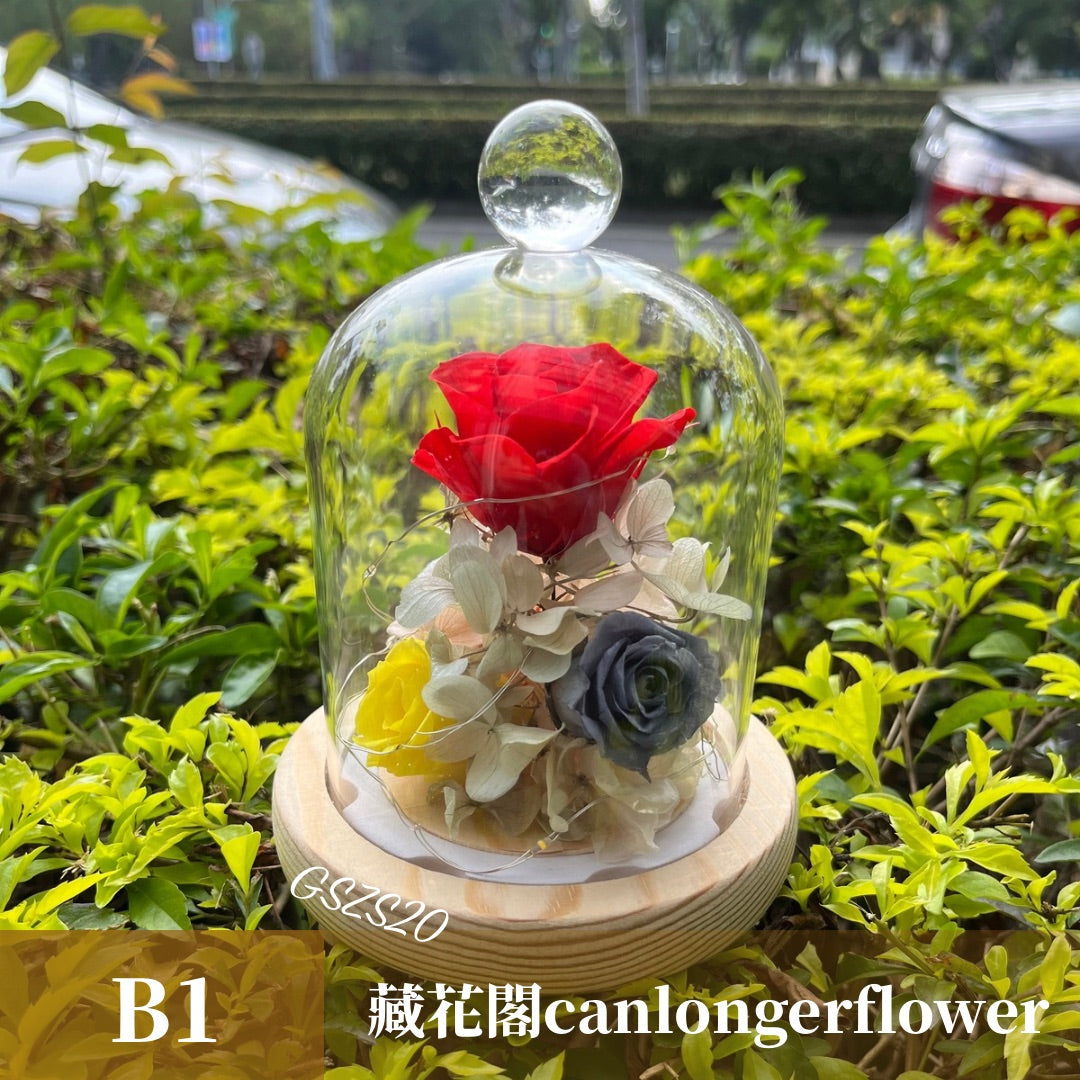 GSZS20 紅色系永生罩盅S