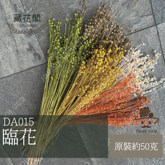 DA015 臨花 台灣現貨