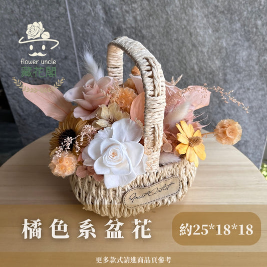 gift-f052 橘色系盆花 橙色 橘色 盆花 開幕 送禮 慶賀