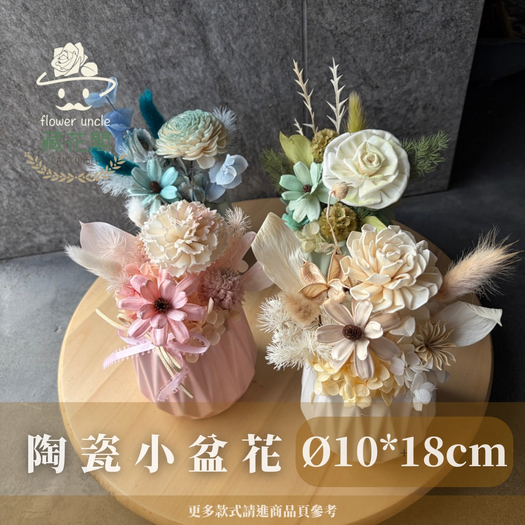 Gift-FP01 乾燥陶瓷小盆花 (含XS梯形透明提袋) 白色 粉色 綠色 藍色 盆花 開幕 送禮 慶賀 擺飾 裝飾品