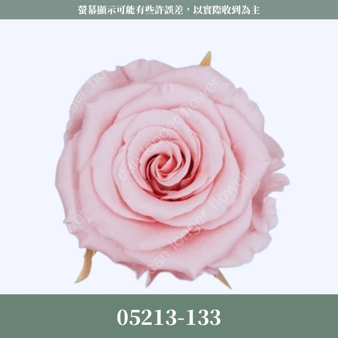 【台灣現貨】花大伯 05213 日本大地農園 滿開玫瑰 6朵裝 原裝 色彩齊全 永生玫瑰 不凋玫瑰