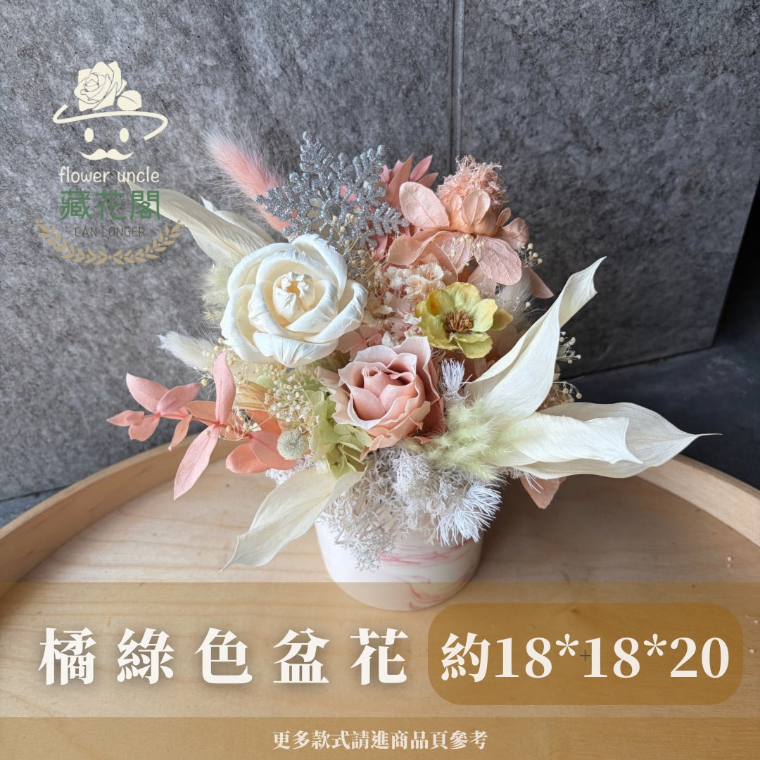 Gift-FP09-05 橘綠色永生陶瓷盆花 橘色 綠色 陶瓷 盆花 開幕 送禮 慶賀 擺飾 裝飾品
