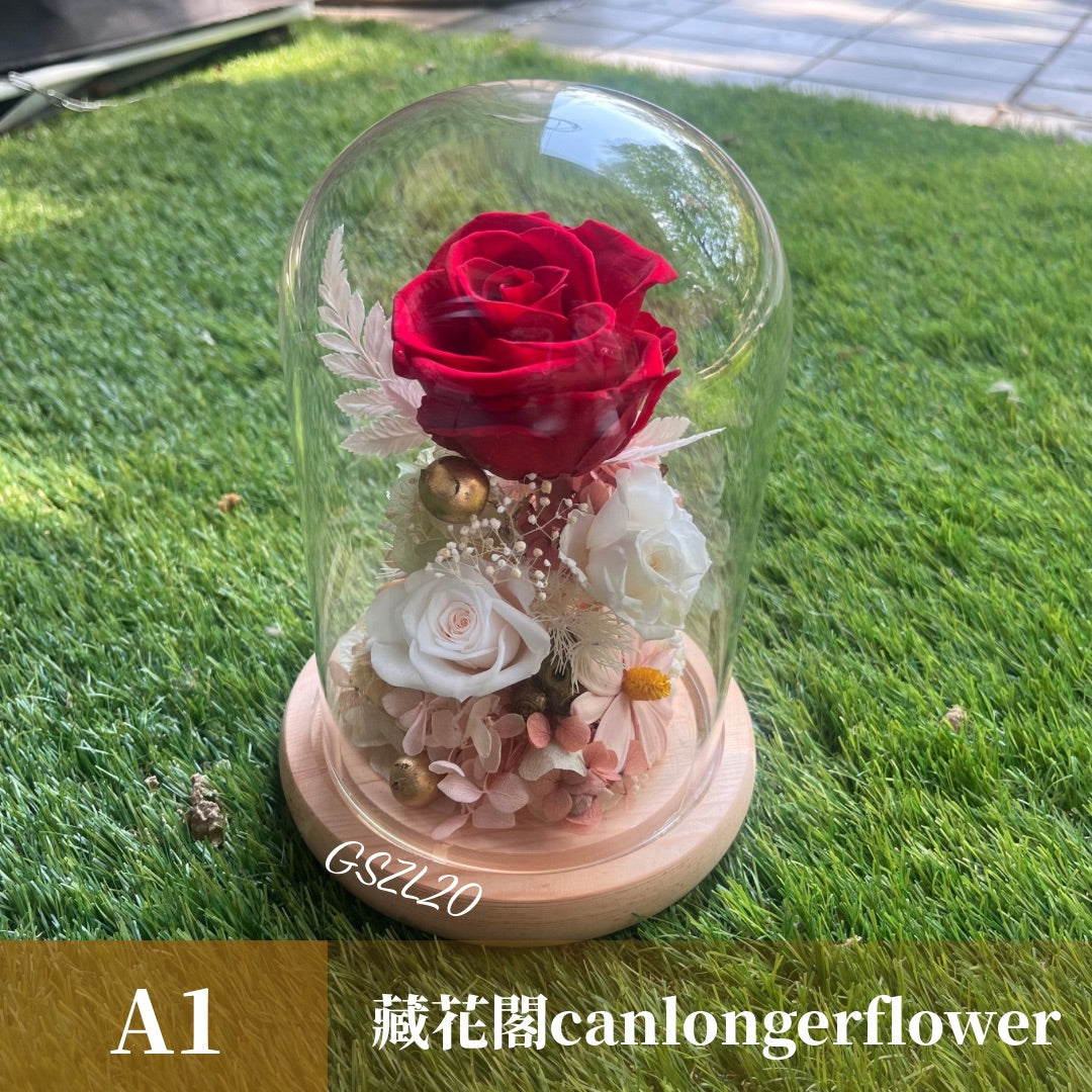 GSZL20 紅色系永生罩盅L