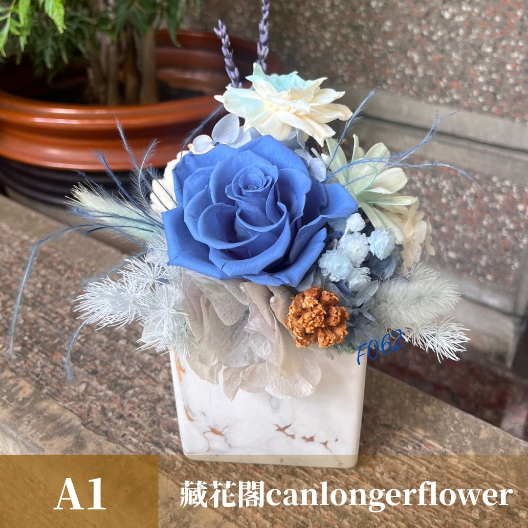 Gift-f062 藍色系盆花 藍色 盆花 開幕 送禮 慶賀