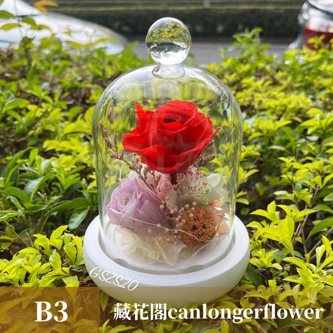 GSZS20 紅色系永生罩盅S