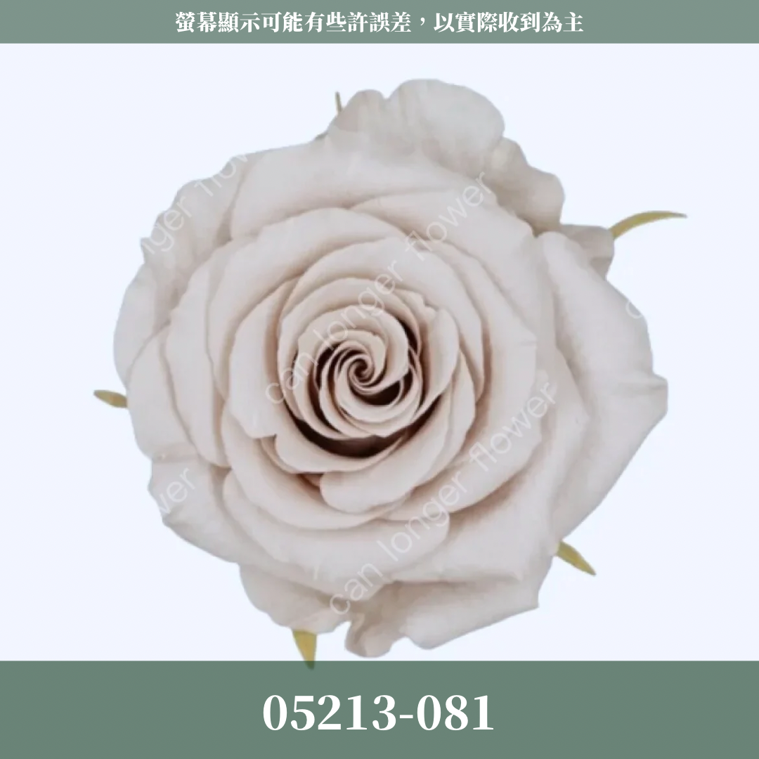 【台灣現貨】花大伯 05213 日本大地農園 滿開玫瑰 6朵裝 原裝 色彩齊全 永生玫瑰 不凋玫瑰