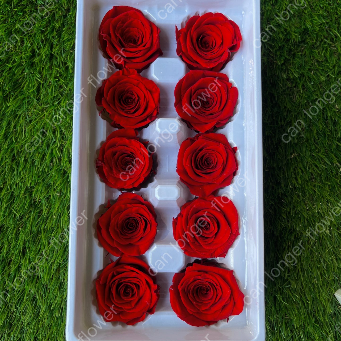 ✿ 台灣現貨 ✿ R10 永生玫瑰 3~4cm玫瑰 Ａ級 10朵裝 永生花 不凋花