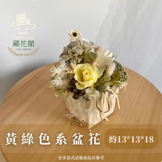 Gift-f063 黃綠色系盆花 綠色 黃色 盆花 開幕 送禮 慶賀