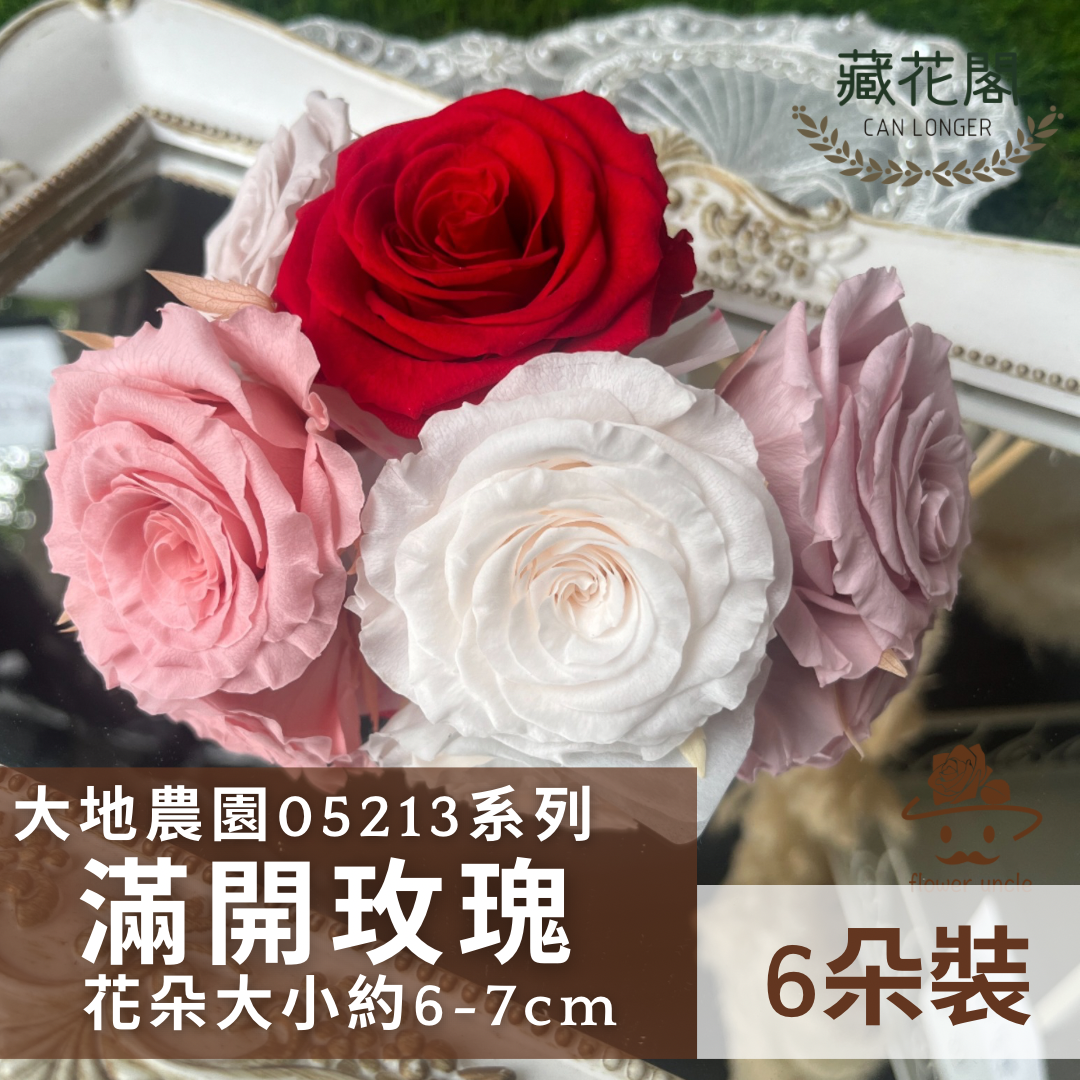 【台灣現貨】花大伯 05213 日本大地農園 滿開玫瑰 6朵裝 原裝 色彩齊全 永生玫瑰 不凋玫瑰