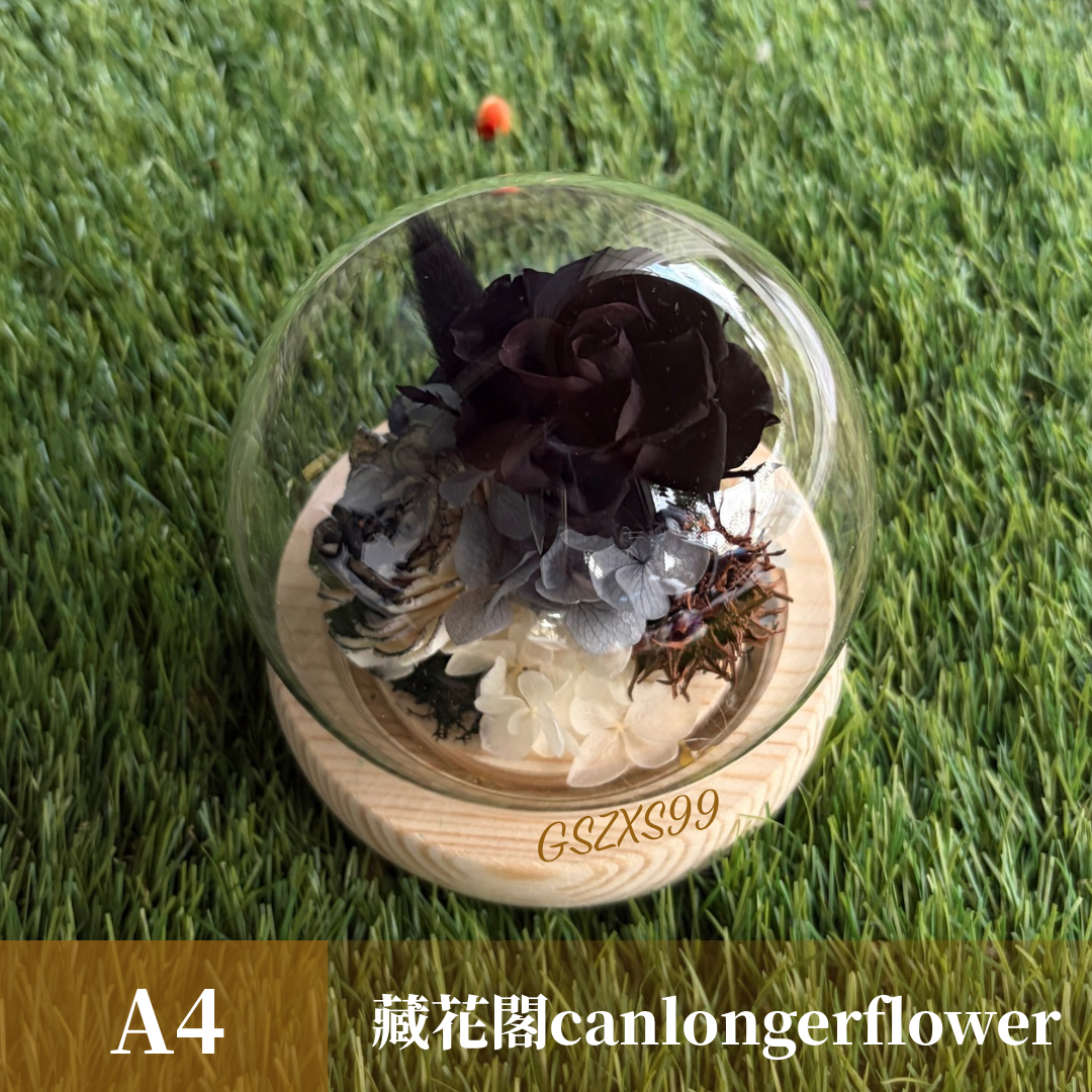 GSZXS99 黑色系永生玫瑰罩盅XS(帶燈)