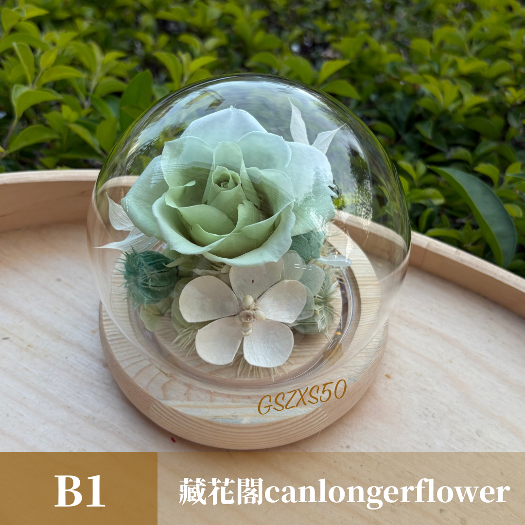 GSZXS50 綠色系永生玫瑰罩盅XS(帶燈)