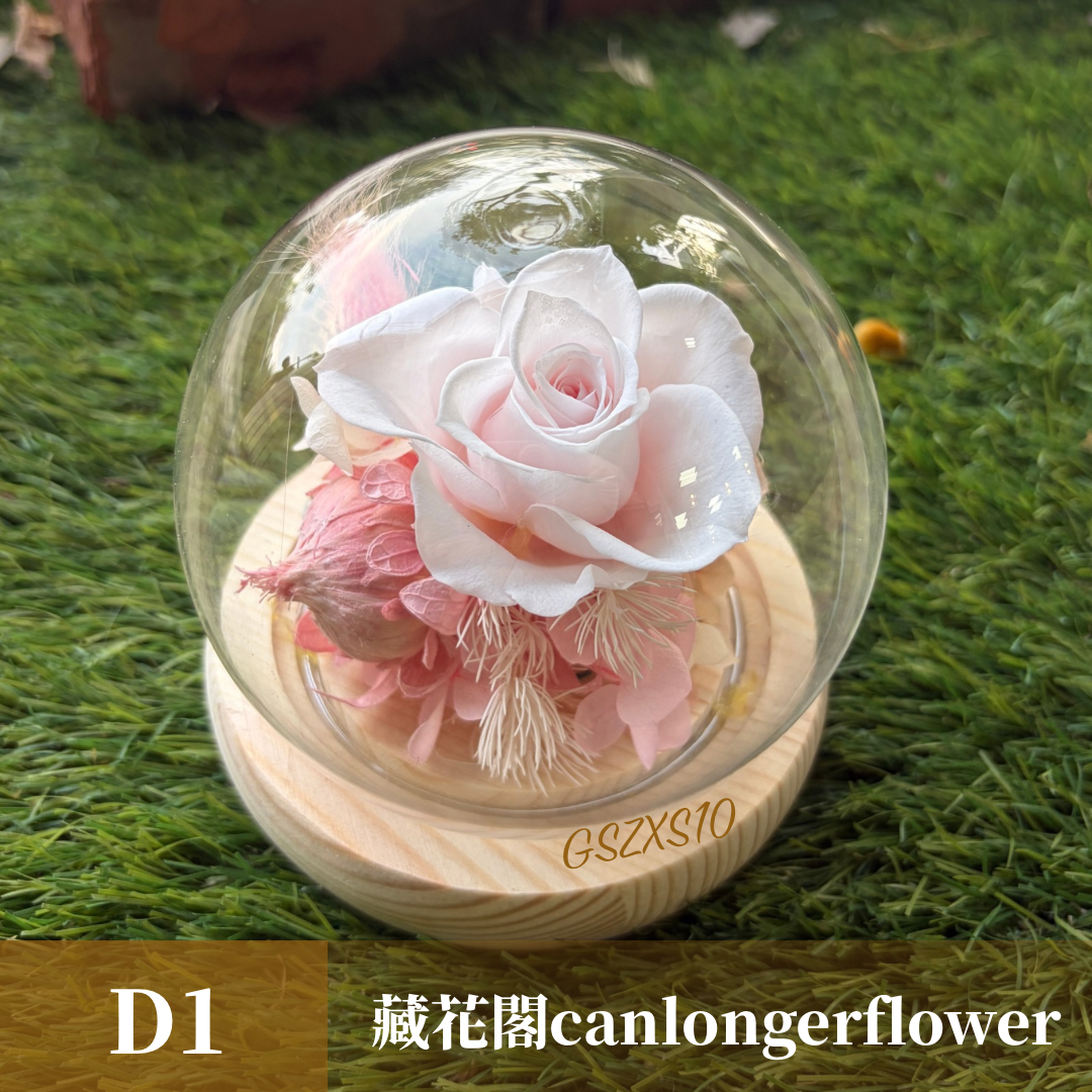 GSZXS10 粉色系永生玫瑰罩盅XS(帶燈)