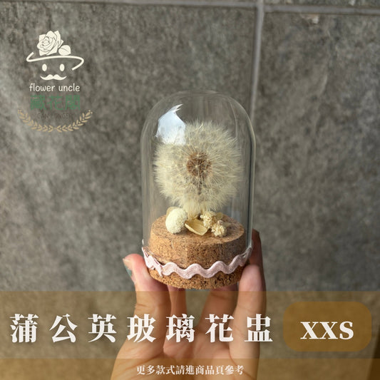 GSZXXSSU 蒲公英永生罩盅XXS