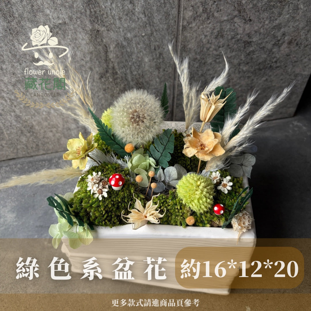 Gift-FP04 可愛精靈森林 綠色系永生蒲公英書本造型陶瓷盆花 綠色 蒲公英 盆花 開幕 送禮 慶賀 擺飾 裝飾