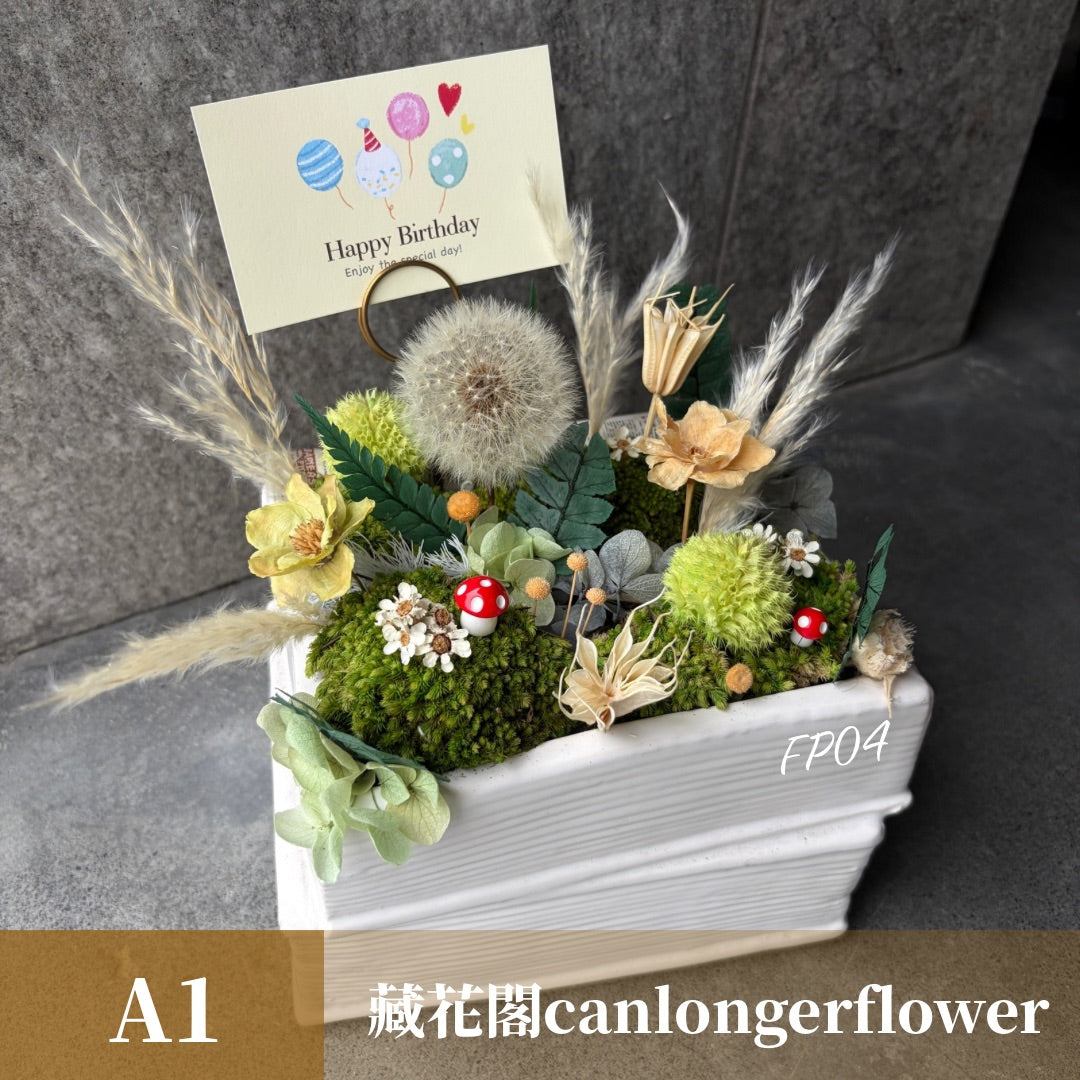 Gift-FP04 可愛精靈森林 綠色系永生蒲公英書本造型陶瓷盆花 綠色 蒲公英 盆花 開幕 送禮 慶賀 擺飾 裝飾