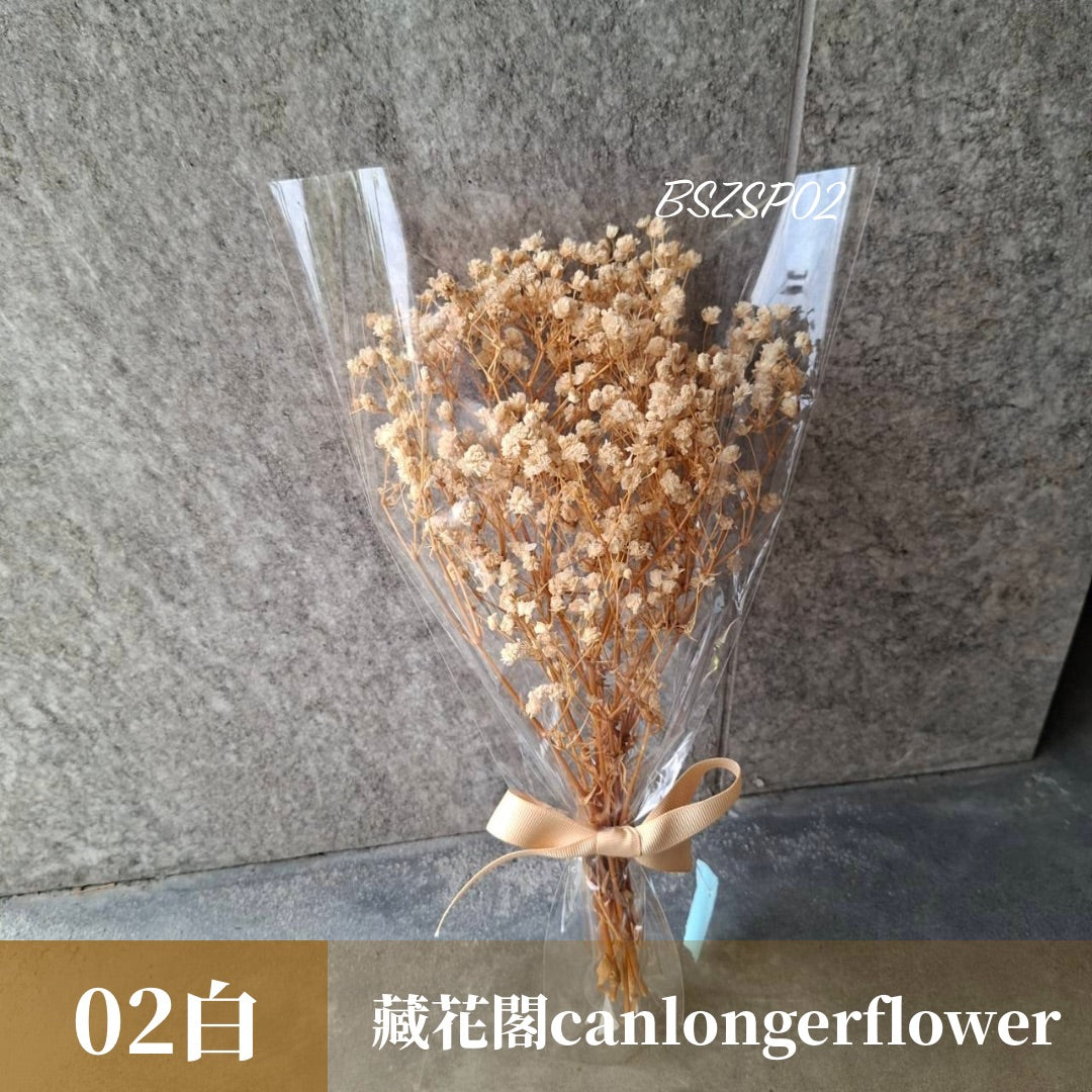 BSZSP 滿天星套袋花束 滿天星 花束